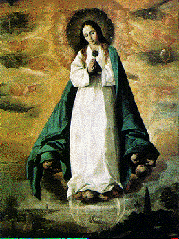 immacolata concezione